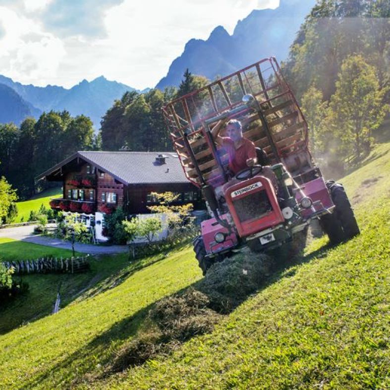 nebenan wird die Wiese gemäht