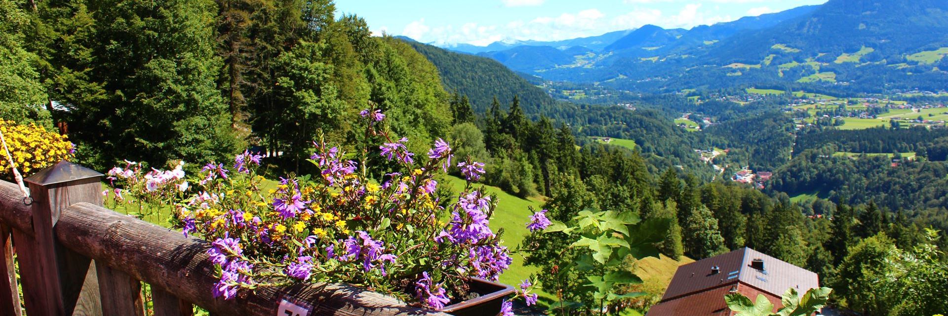 Im Hintergrund der Hohe Göll